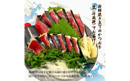 土佐のひとりでおきゃくセット（お試し生鰹タタキコース）生かつおの藁焼きタタキ（タレ・薬味付き）200~250g 1-2人前 わら焼き 純米吟醸生原酒 CEL-24 高知県 土佐市【さかなの森澤マル祐】[BQAM018]