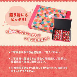 佐賀県玄海町産いちご「さがほのか」 ／ さがほのか【D022】