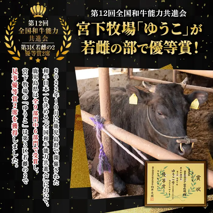 No.1142-A 薩摩和牛切り落とし(500g×1P) 国産 九州産 牛肉 和牛 薩摩和牛 赤身 焼き肉 焼肉 期間限定 切り落とし 切り落し 切落し 冷凍【さつま屋産業】
