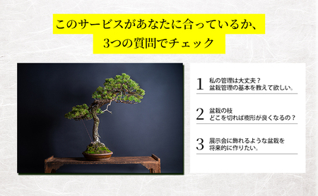 盆栽 翠松園 リザーブサービス 【あなたの盆栽に合わせた日々の管理をアドバイス】 チケット 体験チケット 