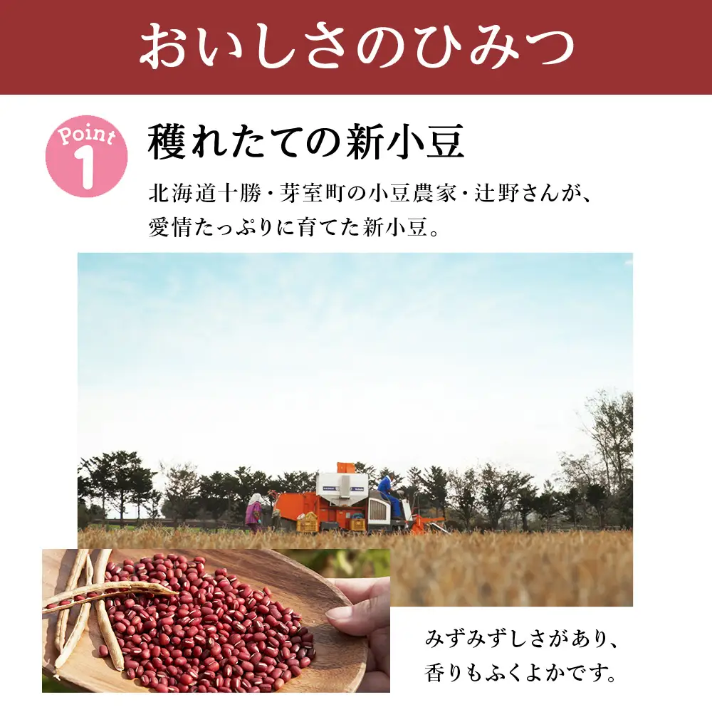 【数量限定】【10月20日までの受付】 北海道 どら焼き ヌーボー 10個入《北海道千歳市 もりもと》 お菓子 菓子 和菓子 どらやき 千歳 ギフト