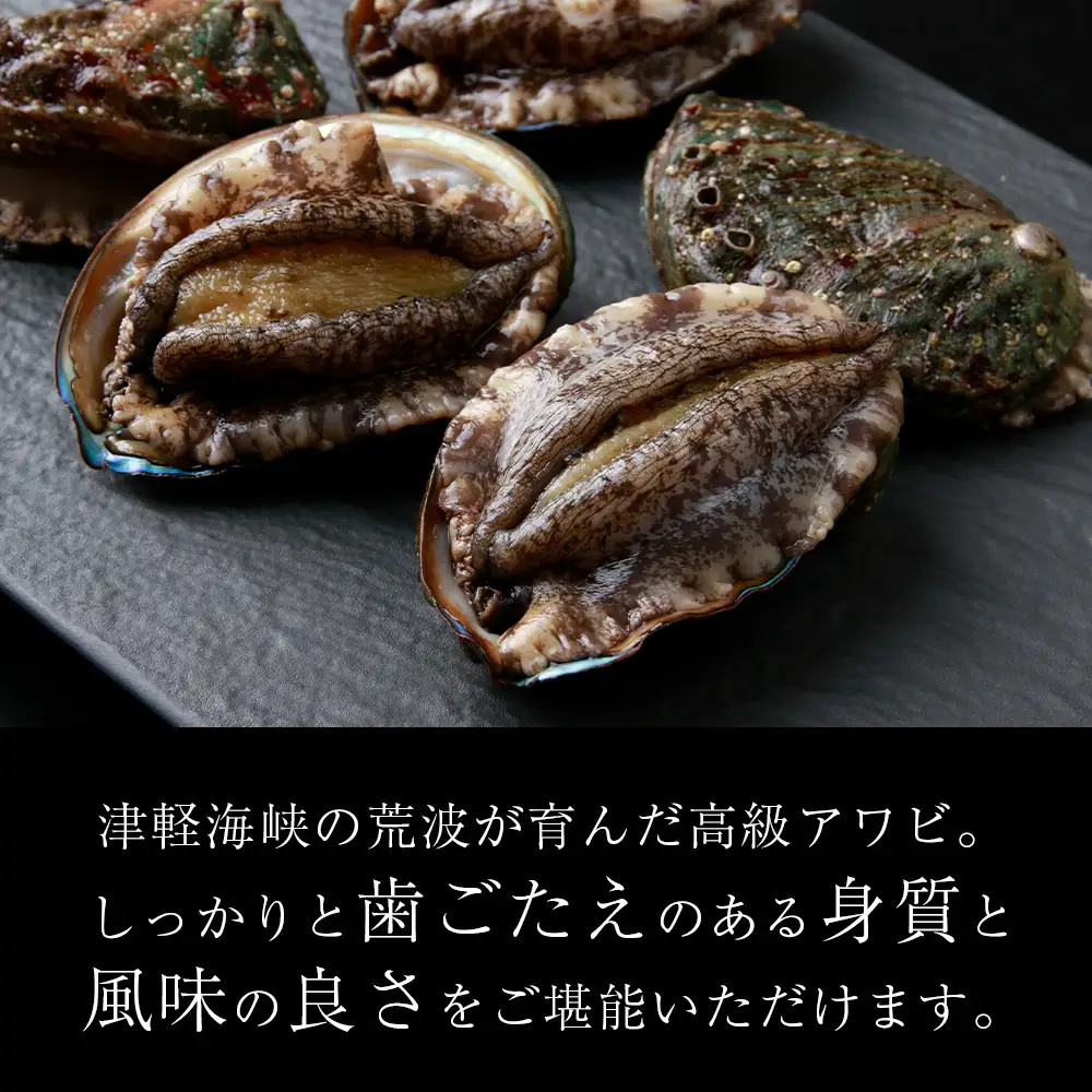 〈2026年12月発送予約〉北海道 知内産 天然活あわび約500g（M～L詰め合わせ）≪上磯漁業協同組合≫
