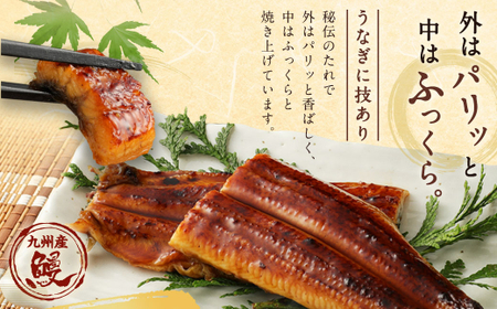 【12ヶ月定期便】鰻天屋 九州産うなぎ 蒲焼 約140g×2尾 セット 合計24尾 たれ 山椒 鰻 ウナギ 蒲焼き 国産 冷凍 鹿児島、宮崎、熊本等産うなぎ原料使用