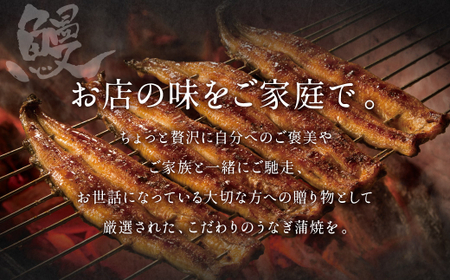 【3ヶ月定期便】九州産 手焼き炭火 うなぎ蒲焼 2尾（1尾あたり120～149g） 合計6尾 たれ 山椒 鰻 蒲焼き 冷凍 国産 送料無料 鹿児島、宮崎、熊本等産うなぎ原料使用