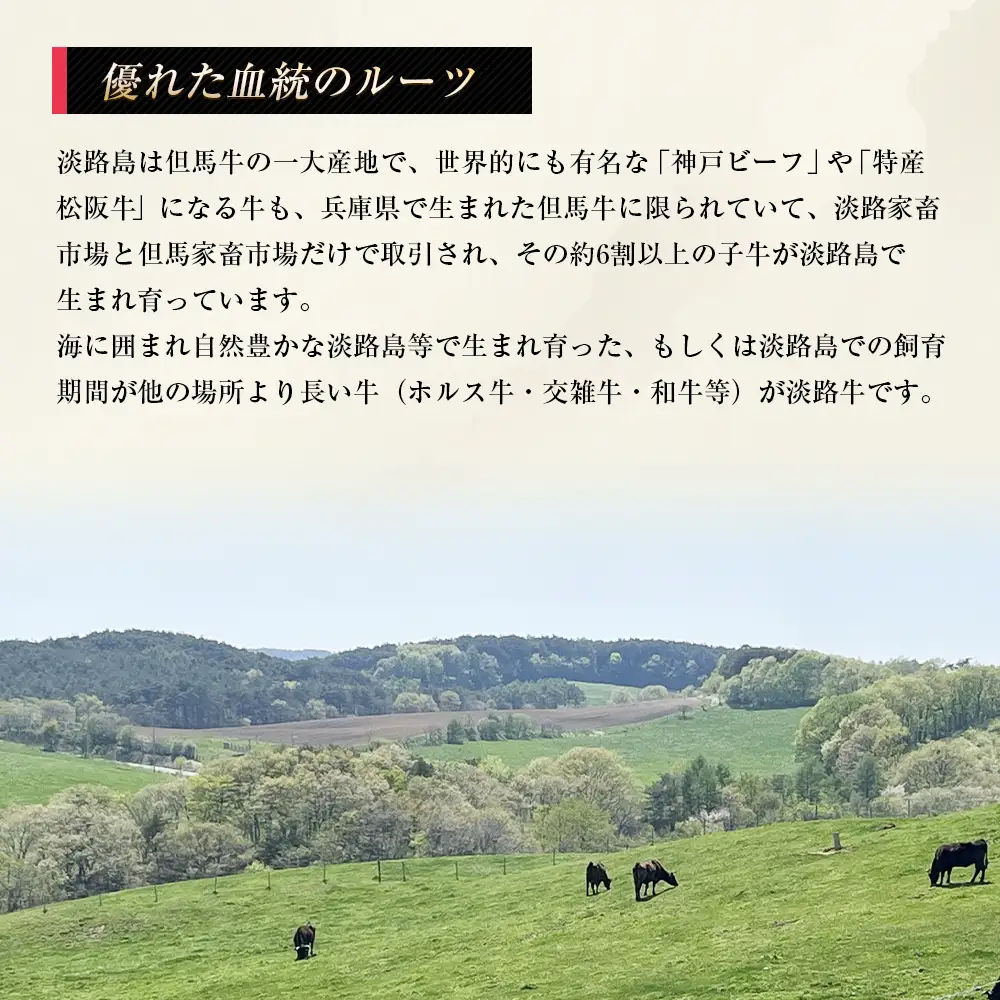 淡路牛 ヒレ（ステーキ用） １ｋｇ　ヘレ フィレ 冷凍
