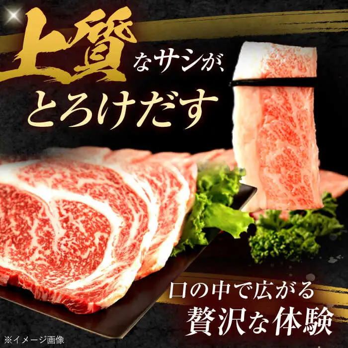 長崎和牛 ステーキ・焼肉セット 600g×2パック / 牛肉 ぎゅうにく 肉 和牛 国産牛 焼き肉 やきにく ステーキ すてーき?/ 諫早市 / 西日本フード株式会社 [AHAV008]