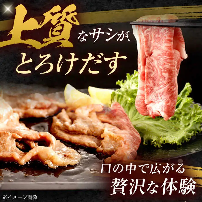 長崎和牛 ローススライス 600g / 牛肉 ぎゅうにく 肉 和牛 国産牛 すき焼き しゃぶしゃぶ?/ 諫早市 / 西日本フード株式会社 [AHAV010]