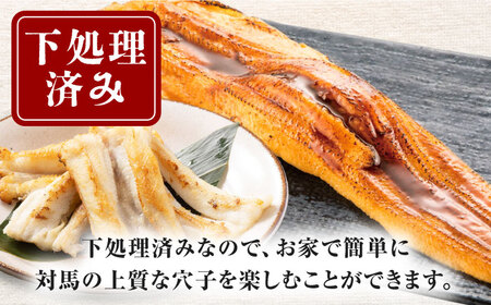 対馬産 あなご 天ぷら・煮付用 5パック[WCS011] 冷凍配送 小分け アナゴ 新鮮 海鮮 冷凍  