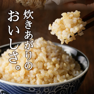 令和７年産　農薬7割減 特別栽培 きぬむすめ 玄米 5kg (a13-162)