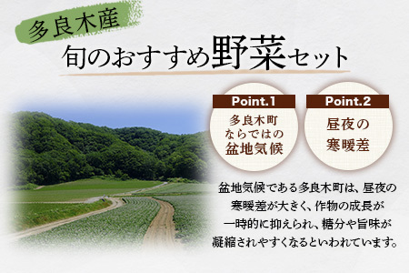 【数量限定】野菜ソムリエ 監修 旬の おすすめ 野菜 セット 4～6品 (1-2名様向け)  熊本県 多良木町 024-0801