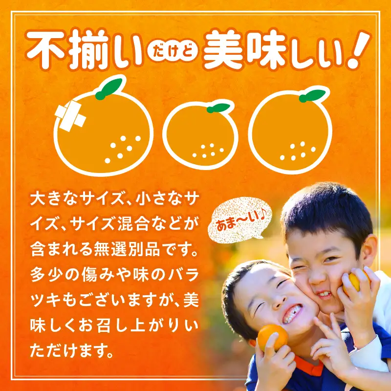【先行予約】【訳あり】常滑ハッピーぶんたん 4.5～5.5kg（8個～10個）