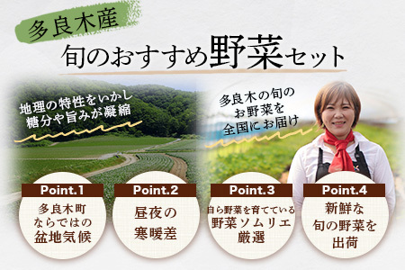 【定期便 6回】野菜ソムリエ 監修【 野菜で野菜を食べる 】旬の おすすめ 野菜＆ドレッシング 定期便 (1?2名様向け) 野菜 獲れたて 直送 旬 新鮮 セット 詰め合わせ 詰合せ 定期便 産地 直送 国産 旬 野菜 ひとり暮らし 夫婦 熊本県 多良木町 ドレッシング 024-0807