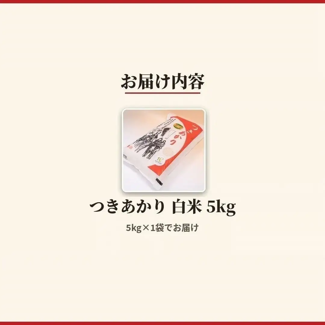 令和8年産 つきあかり 5kg | 白米 アグリロード