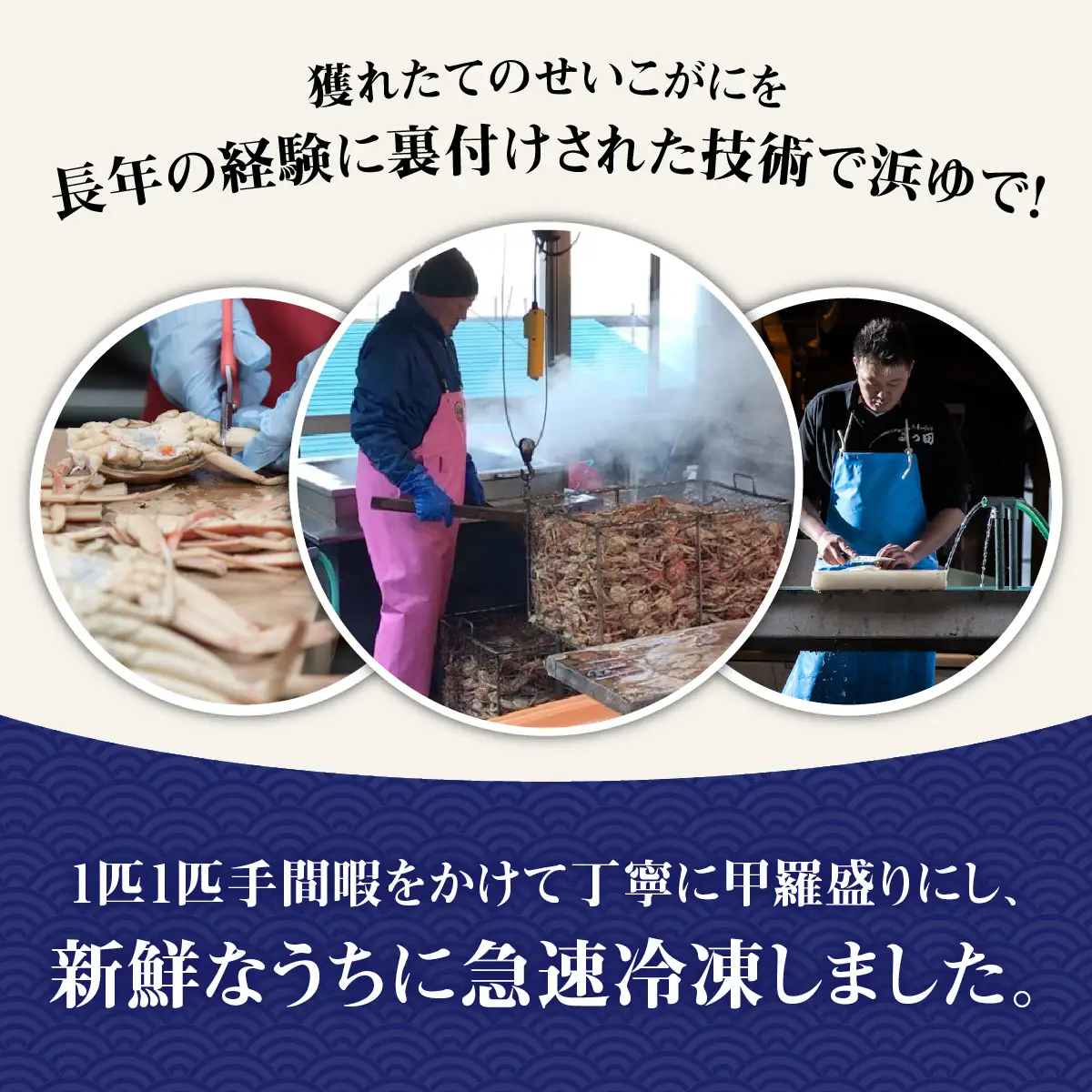 【先行予約】【訳あり】プチプチ食感の外子と濃厚な内子 せいこがに 甲羅盛   70～80g×4個（中大サイズ）【トライアル返礼品】【2026年11月中旬より発送予定】 [B-007020] 