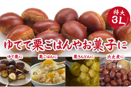 栗　【先行予約】「須木栗」3Lサイズ 2kg程度（生栗 マロン 栗 果物 フルーツ 限定 秋 旬）