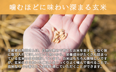 【全3回定期便】【玄米】 自然栽培米 角田玄米（ななつぼし）5kg《厚真町》【カクタファーム】 [AXAR004] 米 お米 玄米 ななつぼし ご飯 北海道 定期便