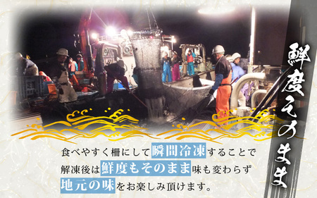 【先行予約】天然！地物！ひるがのハマチ 柵2本【合計500g以上】【2027年5月下旬以降順次発送予定】はまち ぶり ブリ [m36-a029]