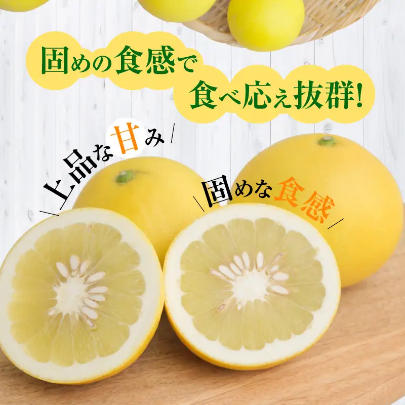 S040-031_農家の手摘み　パール柑　5kg