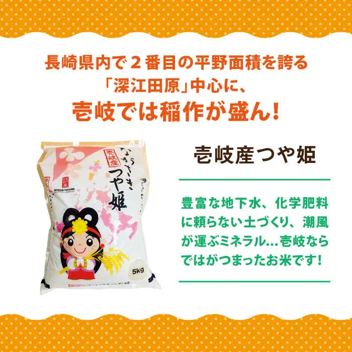 壱岐産米 つや姫 10kg 《壱岐市》【壱岐市農業協同組合】[JBO143]