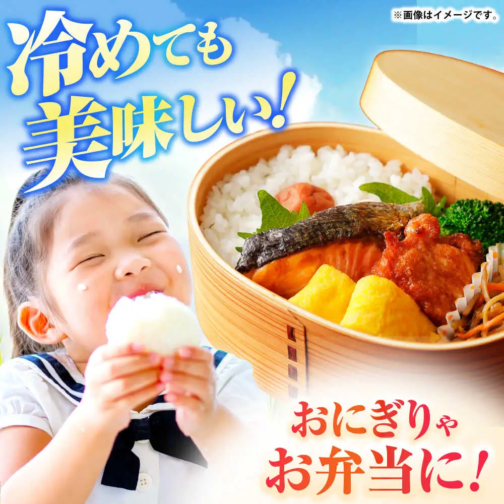 壱岐産米 にこまる 10kg[JBO144]米 お米