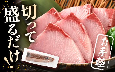 【先行予約】天然！地物！ひるがの春ぶり 柵3本【合計800g以上】【2027年5月下旬以降順次発送予定】ブリ 鰤 [m36-b020]