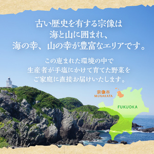 【奇数月お届け】むなかた旬のお任せセット(野菜) 7～9品【ほたるの里】_HB0172