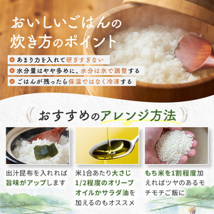 栃木県産 とちぎの星 無洗米 10kg |  お米 米 こめ おにぎり ごはん ご飯 令和6年産 栃木県 真岡市 ブランド米 