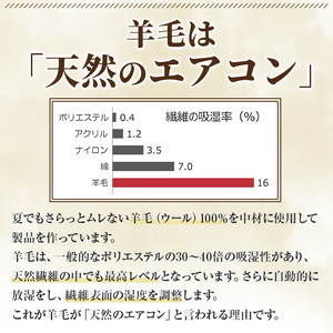【D7069】＼羊毛100％／ピュアウール 枕 (Sサイズ) まくら 羊毛 ウール 枕 睡眠 眠り 【寝具の井上】