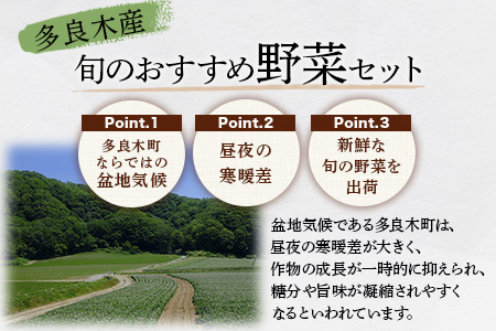 【定期便12回】熊本の大地の恵み≪ 野菜で野菜を食べる ≫ 旬のこだわり 野菜 ＆ドレッシング セット (3?4名様向け) 野菜 獲れたて 8～12品 直送 旬 新鮮 定期便 野菜ドレッシング 詰め合わせ 詰合せ 熊本県 多良木町 024-0816