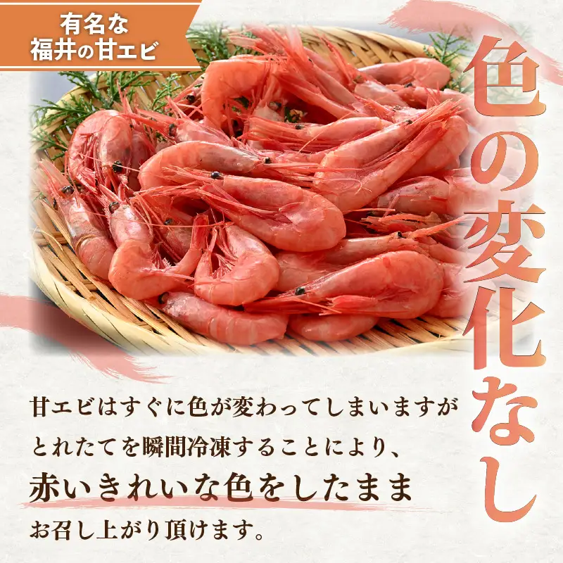 旬子持ち甘えび 小分け 約500g【12尾前後 × 3袋】中サイズ 鮮度格別 獲れたてを液体凍結 甘エビ 海老 お刺身 [m36-a014]