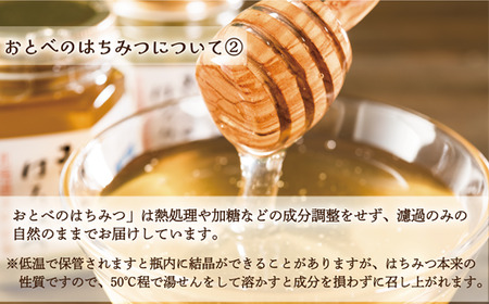 ＜おとべのはちみつ アカシア500g×1本＞北海道 道産 乙部町 蜂密 ハチミツ 魚つきの森からの恵み 天然 非加熱はちみつ 非加熱 アカシア蜜 ハニー 食品 おすすめ ミネラル 豊富 健康