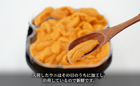 うに 北海道産 バフンウニ 塩水パック 100g×2 ウニ