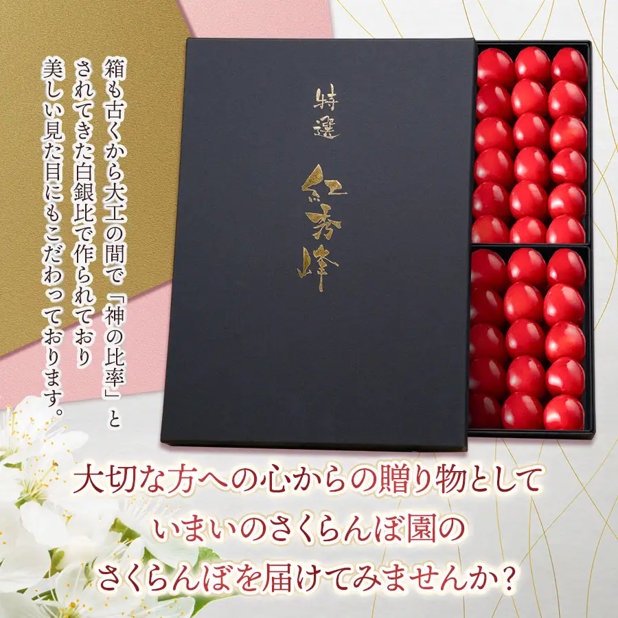 【令和9年産先行予約】【贈答用】さくらんぼ「紅秀峰」88粒(2Lサイズ) いまいのさくらんぼ園 K-9114