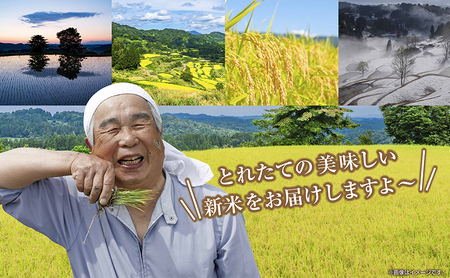 【令和8年産 新米】 無地のし 新潟県 魚沼産 コシヒカリ お米 30kg （5kg×6袋）精米済み お米 こめ 白米  こしひかり 送料無料 魚沼 十日町