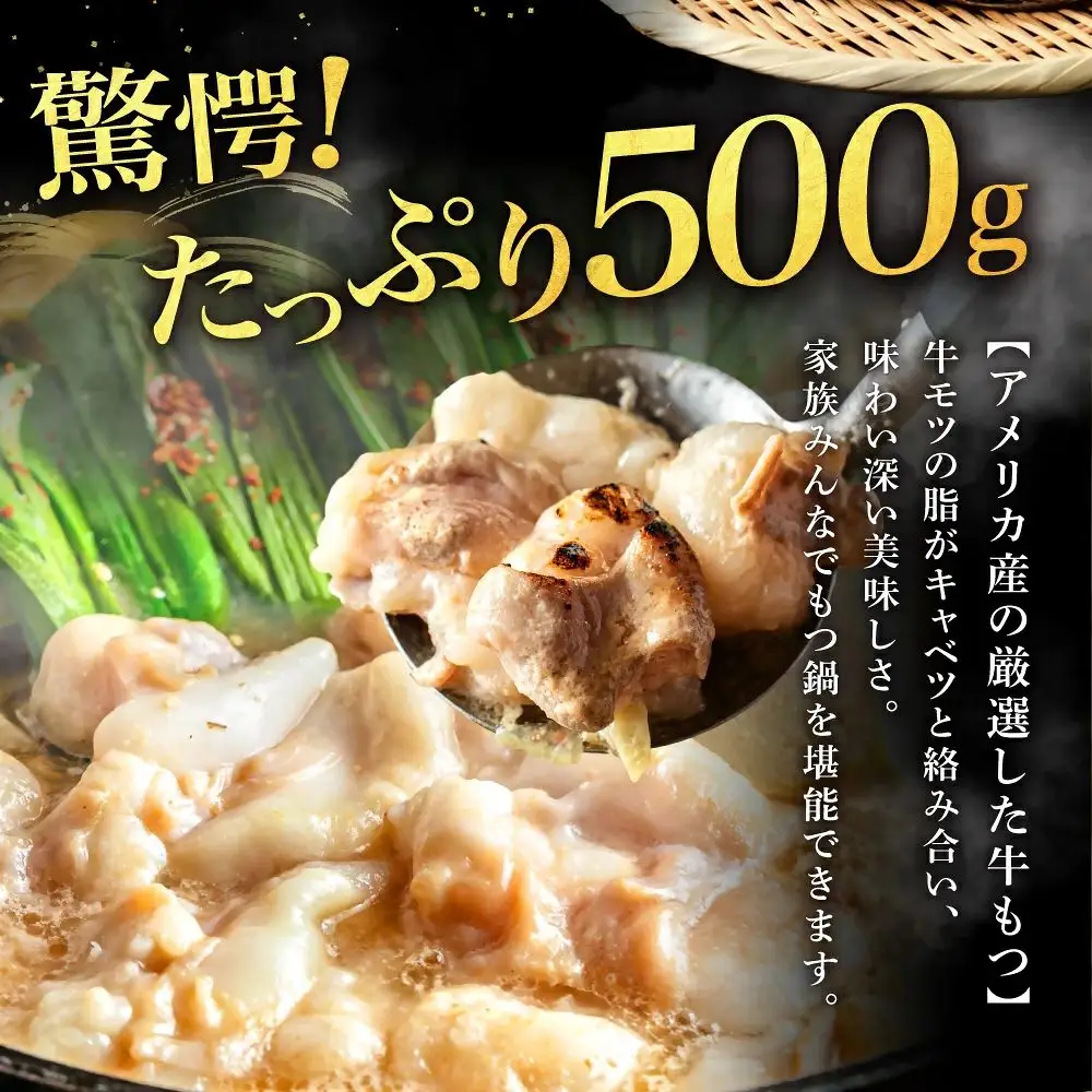 もつ増量500g　満足もつ鍋セット （2～3人前）あごだし 醤油仕立て 【魚住商店】_HA1588