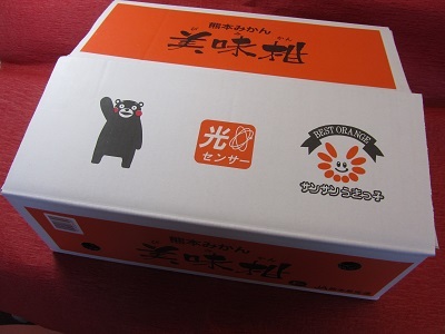 令和8年熊本地震復興支援 先行予約 早生みかん 美味柑 約5kg【2026年11月上旬?11月下旬頃発送予定】