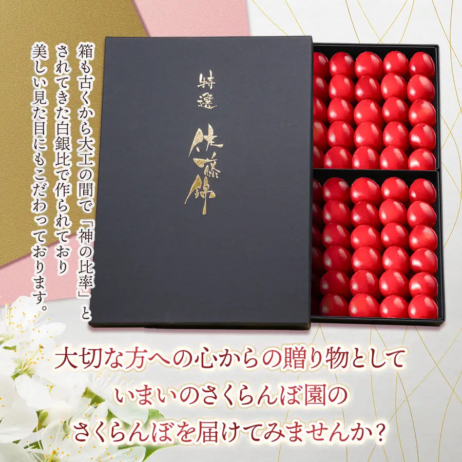 【令和9年産先行予約】【贈答用】 さくらんぼ「佐藤錦」（2Lサイズ）88粒 いまいのさくらんぼ園　K-9114
