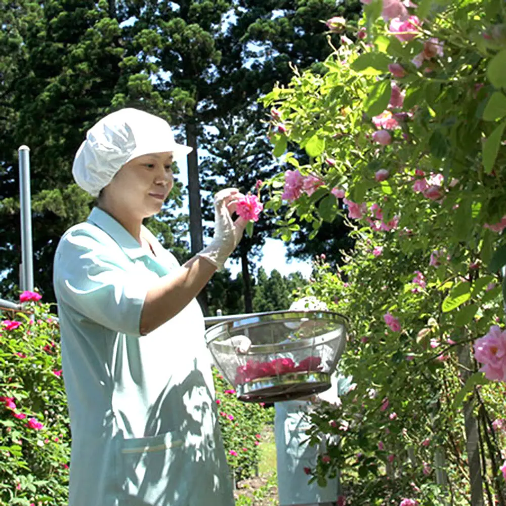 秋田薔薇園産 純粋ローズウォーター 100ml×2本 ローズメイ