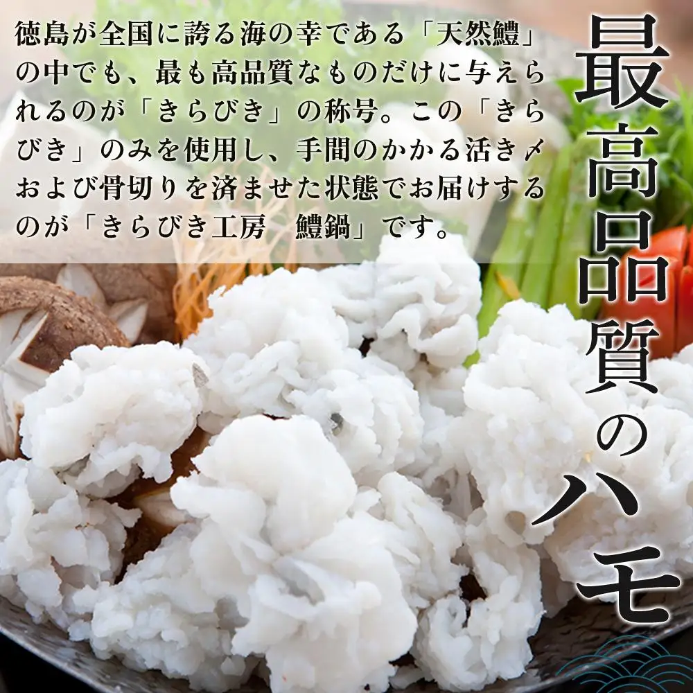 【お歳暮・贈答用・のし付き】天然鱧鱧鍋セット（3～4人前）【漁獲量全国トップクラス】