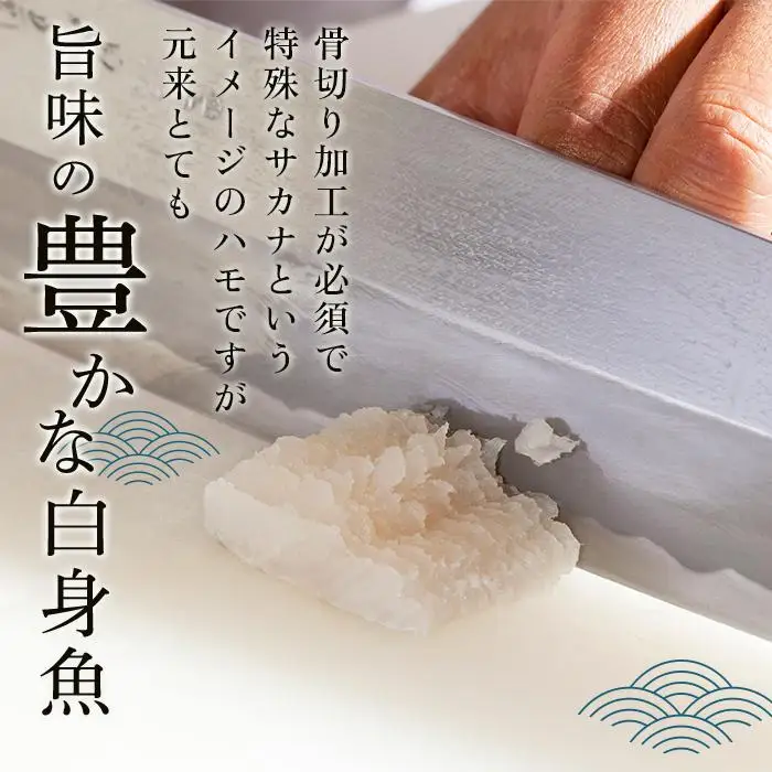 【お歳暮・贈答用・のし付き】冷凍ハモ鍋セット（2～3人前）（徳島産「天然鱧」切り身・つくね）