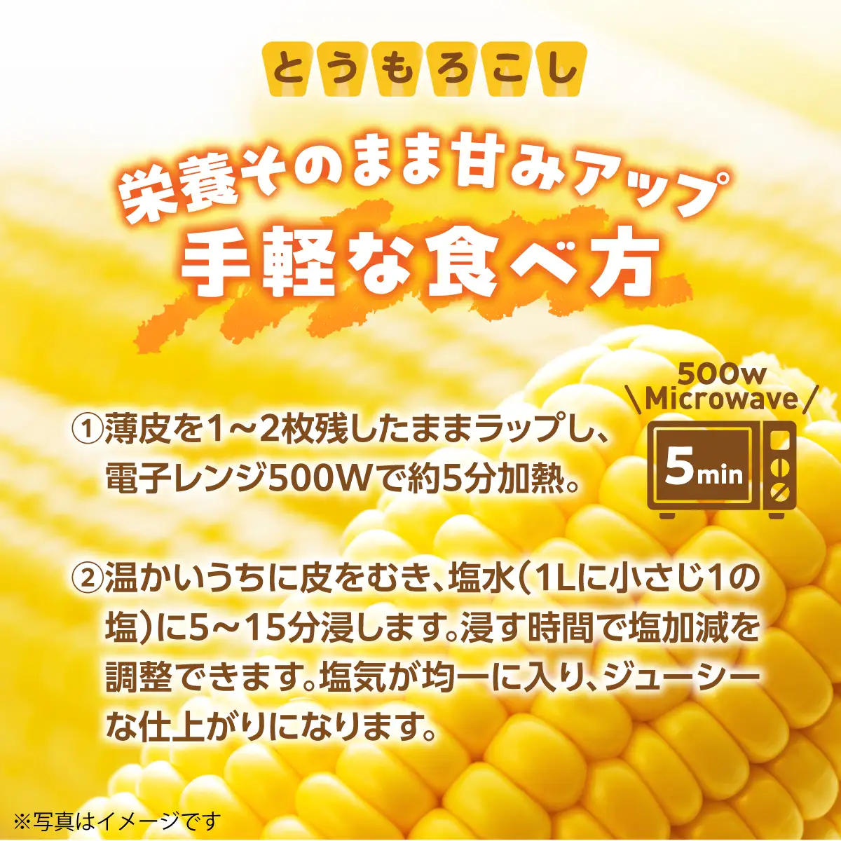 ＜2026年8月初旬よりお届け＞約10kg！北海道壮瞥産とうもろこし（恵味）【Ｌ～2Lサイズ 22～25本】 SBTP006