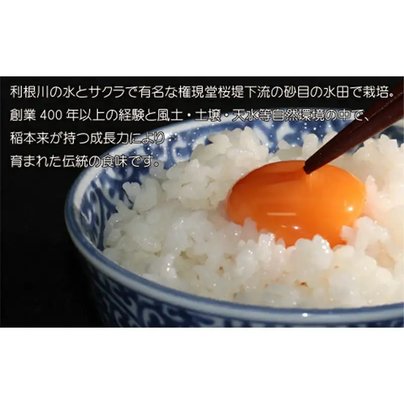 【令和7年産米】食味Aランク継続中の銘柄 彩のきずな 精米10kg【定期便3ヶ月】全3回お届け - お米 白米 ごはん 銘柄 減農薬