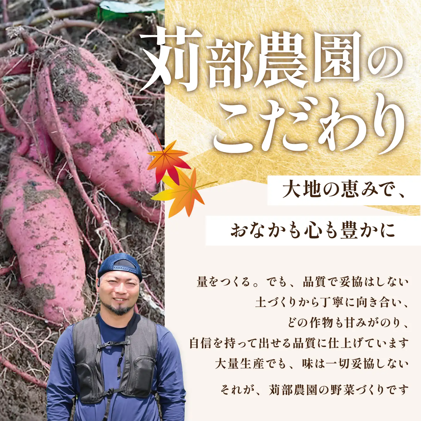 さつまいも 熟成 紅はるか 訳あり 10kg