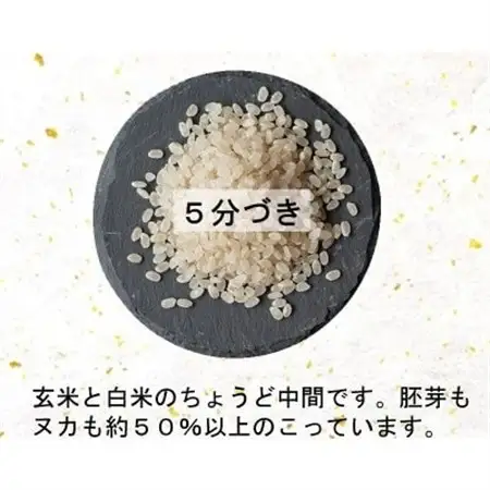 令和6年産　宮城県産ミルキークイーン10kg　5分づき【1552908】