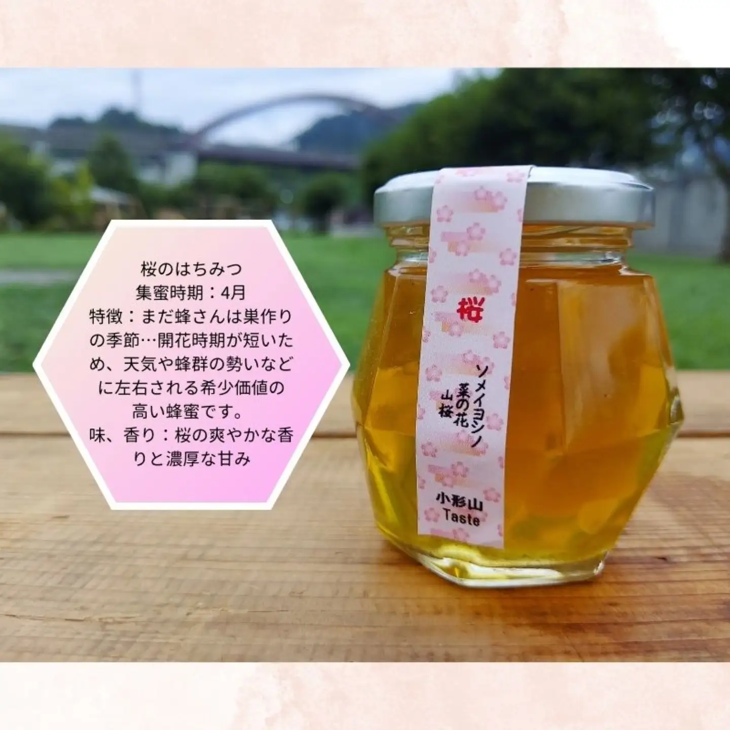 日本みつばちの蜂蜜＋西洋みつばちの蜂蜜食べ比べ4種セット 100ｇ×４　ハチミツ　はちみつ　ミツバチ　食べ比べ　ハチミツセット　パン　ヨーグルト