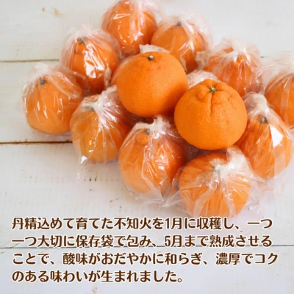 長期熟成しらぬい 約3kg 濃厚なコクと甘さ 農家直送 和歌山県産 【2027年5月～6月発送】