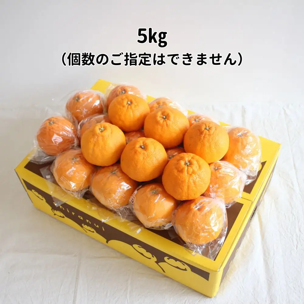 長期熟成しらぬい 約5kg 濃厚なコクと甘さ 農家直送 和歌山県産 【2027年5月～6月発送】
