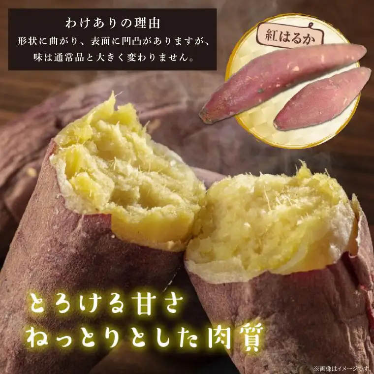 【先行予約】【2026年11月より順次発送開始】【訳あり】紅はるか 約10kg｜さつまいも 芋 お芋 わけあり 訳あり 紅はるか タネのハシモト 茨城県 行方市(BS-23)