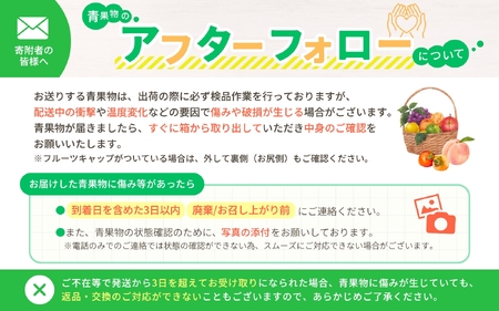 【家庭用 訳あり】わかやま旬のカンキツ定期便【M】 全4回 【3・5・9・11月発送】【MS96】【AA90247-ard-tkb906】