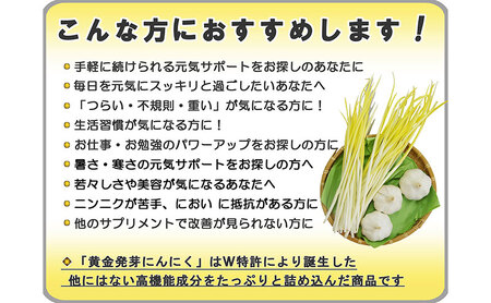 【定期便3回】黄金発芽にんにく スプラウト パウダー サプリメント W特許 有機JAS認定肥料【 1袋 ／ 約31日分 93粒 】 加工食品 